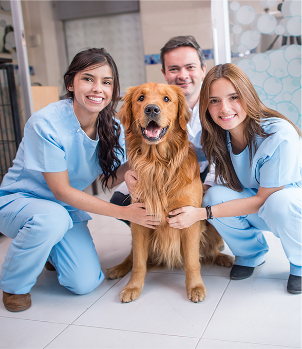 vet staff with dog